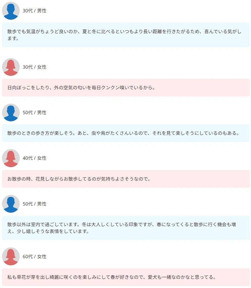 春が好きな理由に関するコメント集