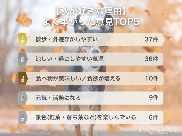 【秋が好きな理由】よく挙がった意見TOP5