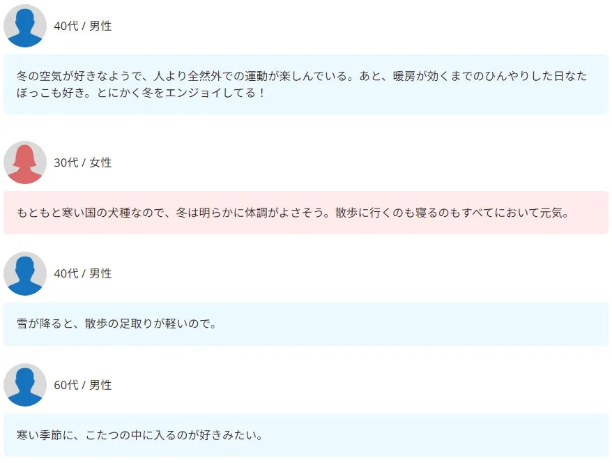 寒さは愛犬の味方？冬の散歩意欲とくつろぎ派の傾向