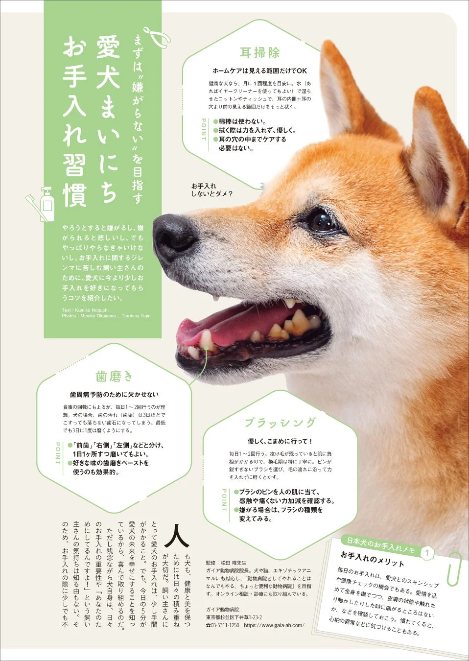愛犬にお手入れ習慣