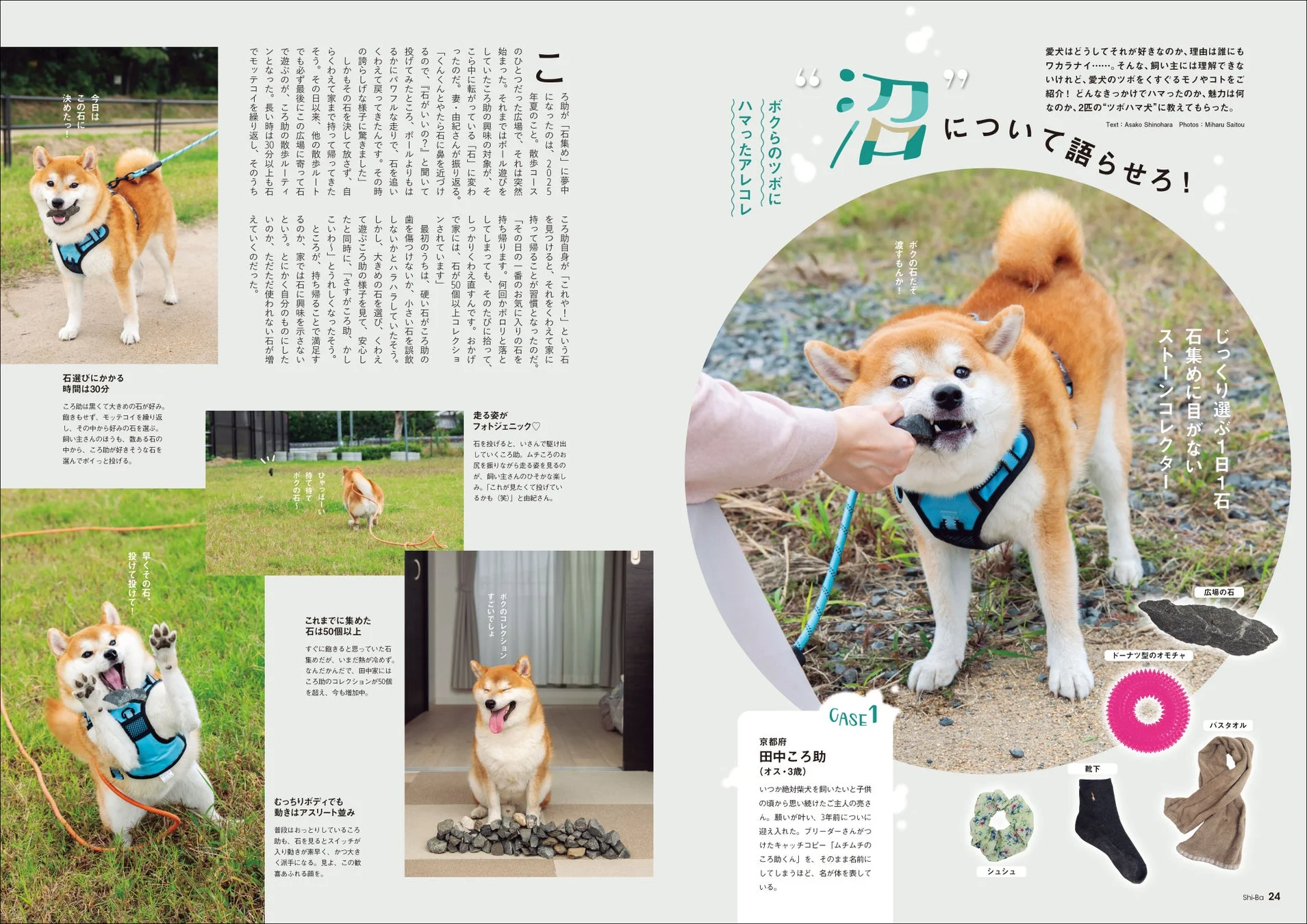 愛犬のツボにハマったアレコレ