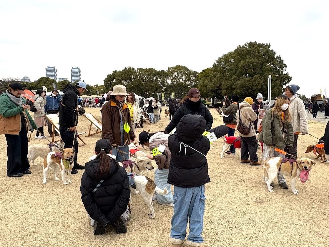 イベント会場の賑わい