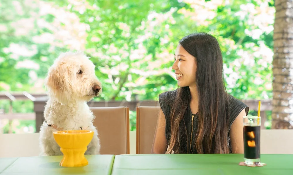 屋外カフェテラスで女性と白い犬が向かい合う