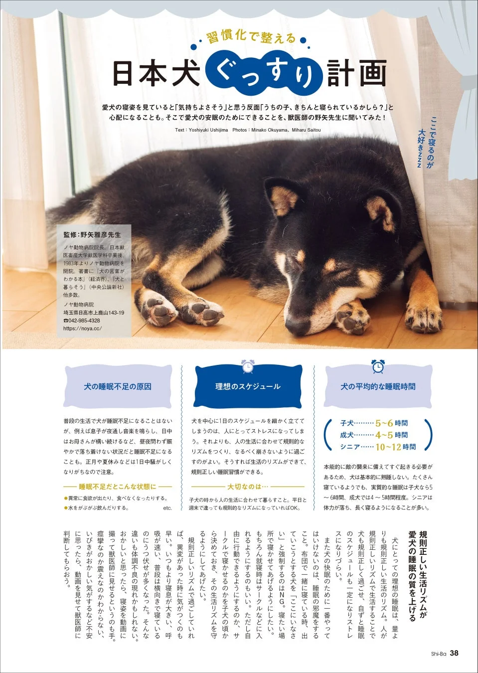 日本犬ぐっすり計画