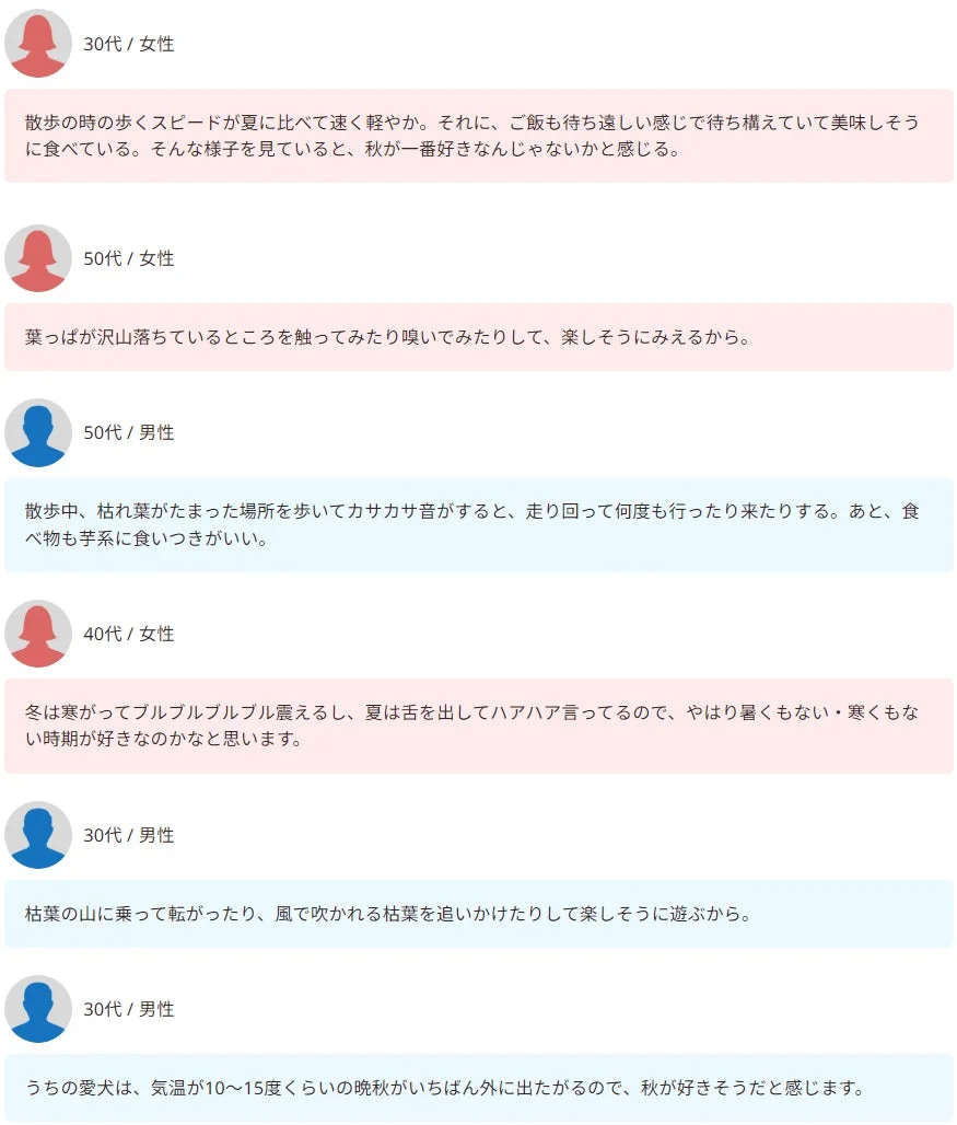 秋が好きな理由に関するコメント集