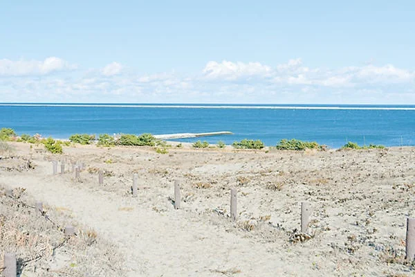 青い海と空が広がる穏やかな海岸の風景
