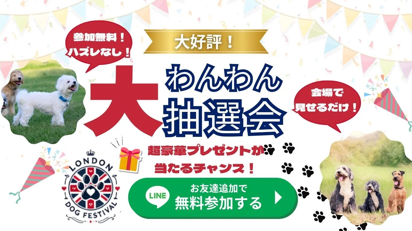 わんわん大抽選会告知