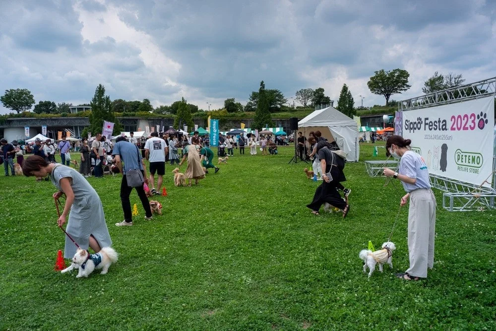 Sippo Festaの賑やかな会場風景