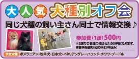 犬種別オフ会の告知