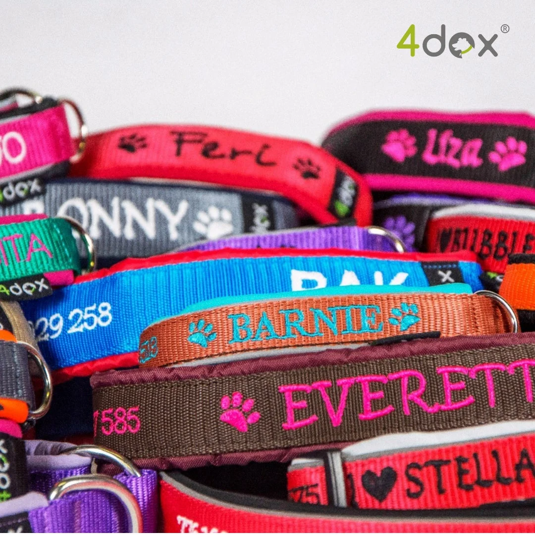 4dex カスタマイズ