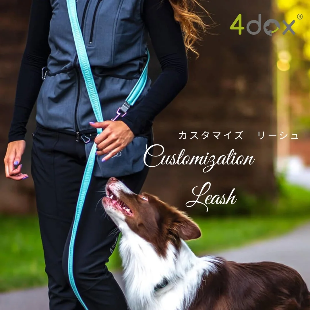 4dox カスタマイズ リーシュ