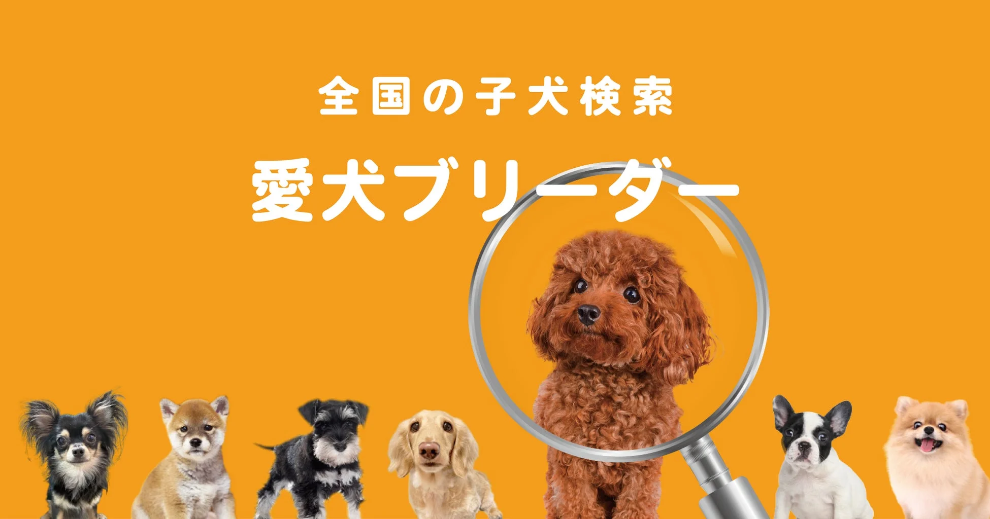 愛犬ブリーダーのサービス紹介
