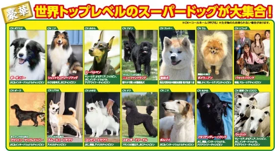 世界のチャンピオン犬たち