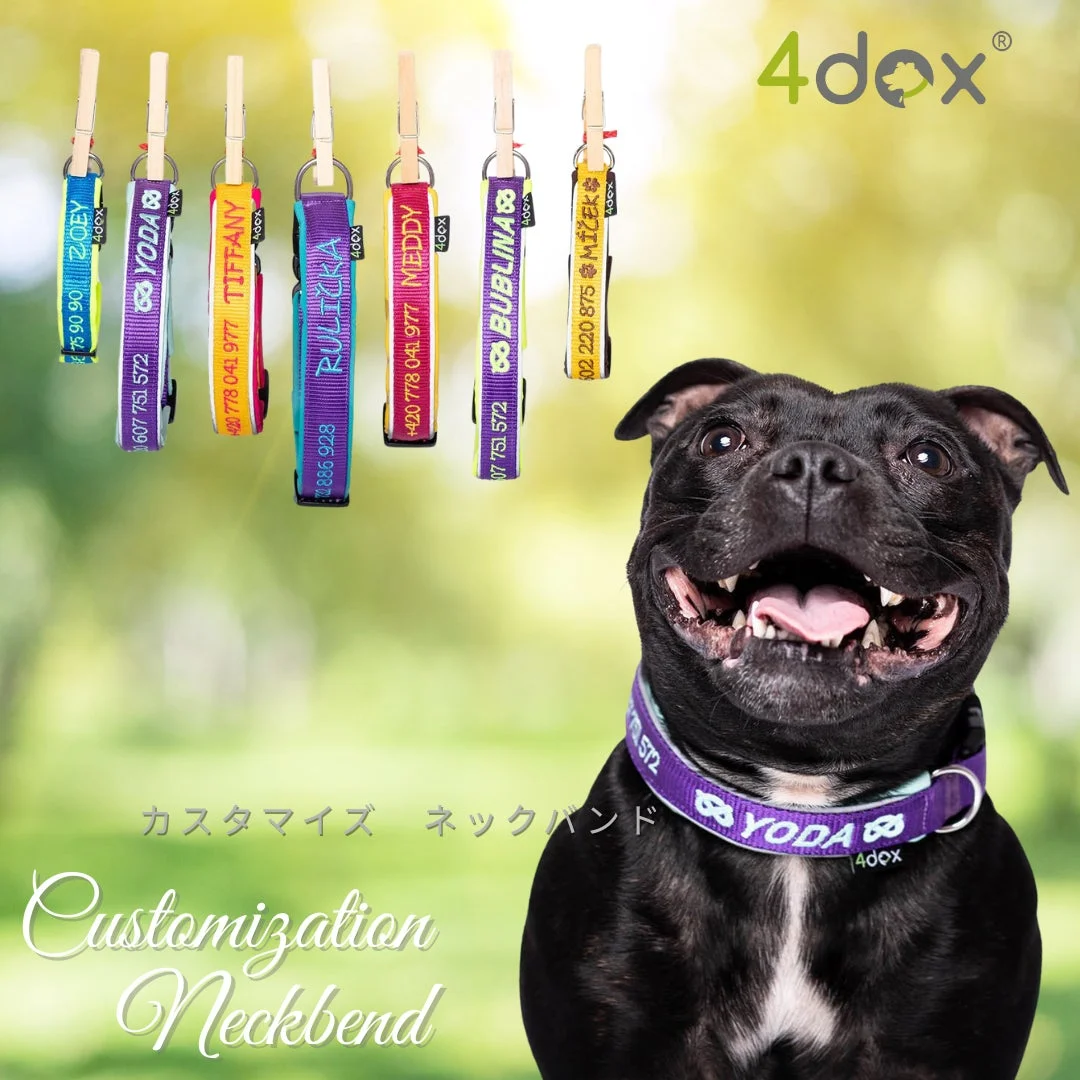 4dox カスタマイズ ネックバンド