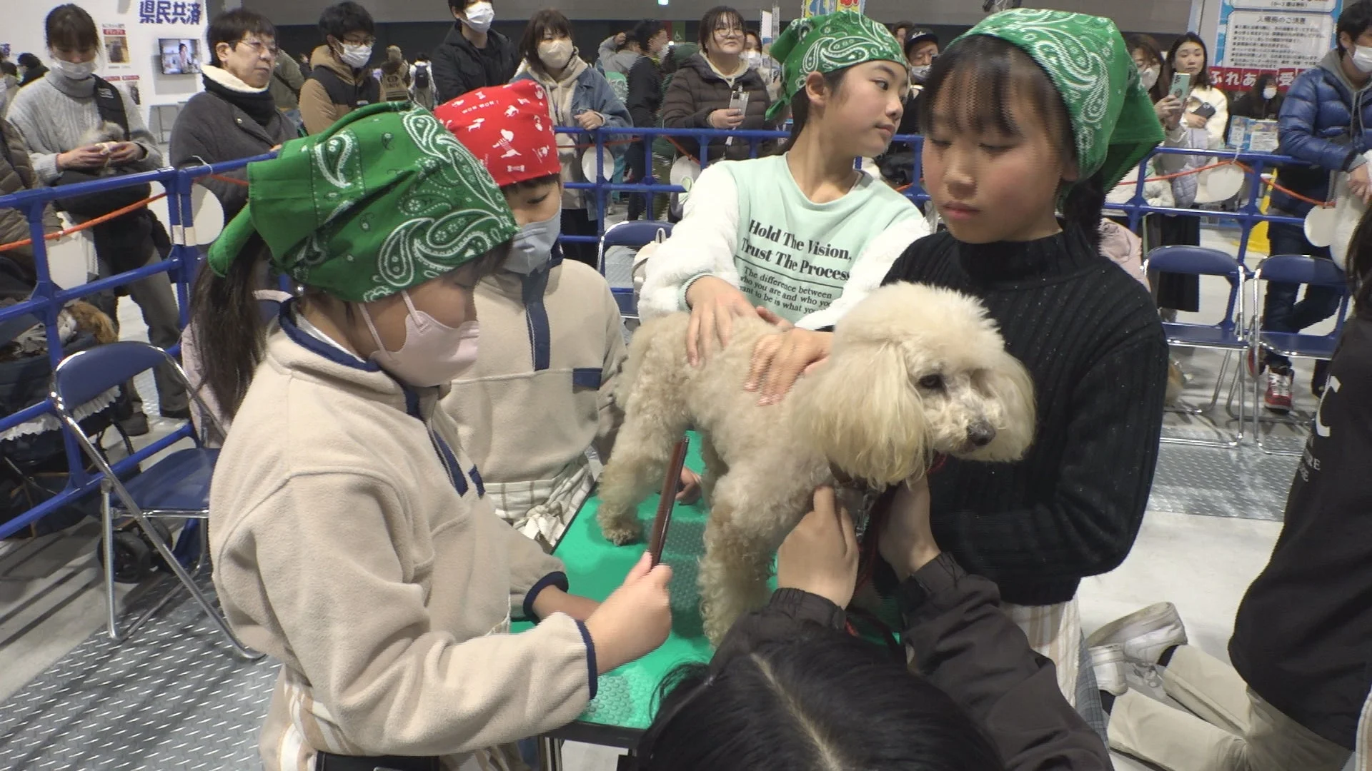 犬と触れ合う子供たち