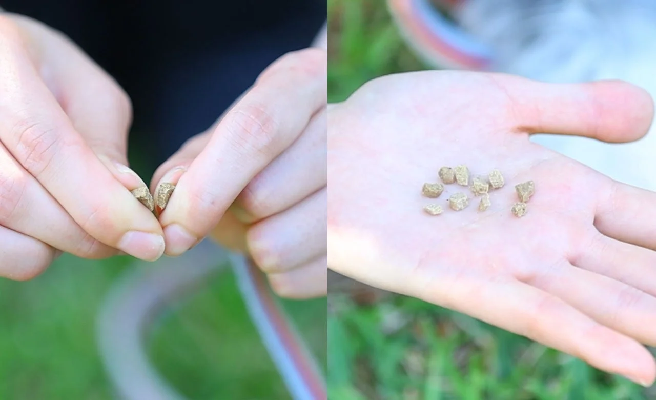 ミレワンを砕く手