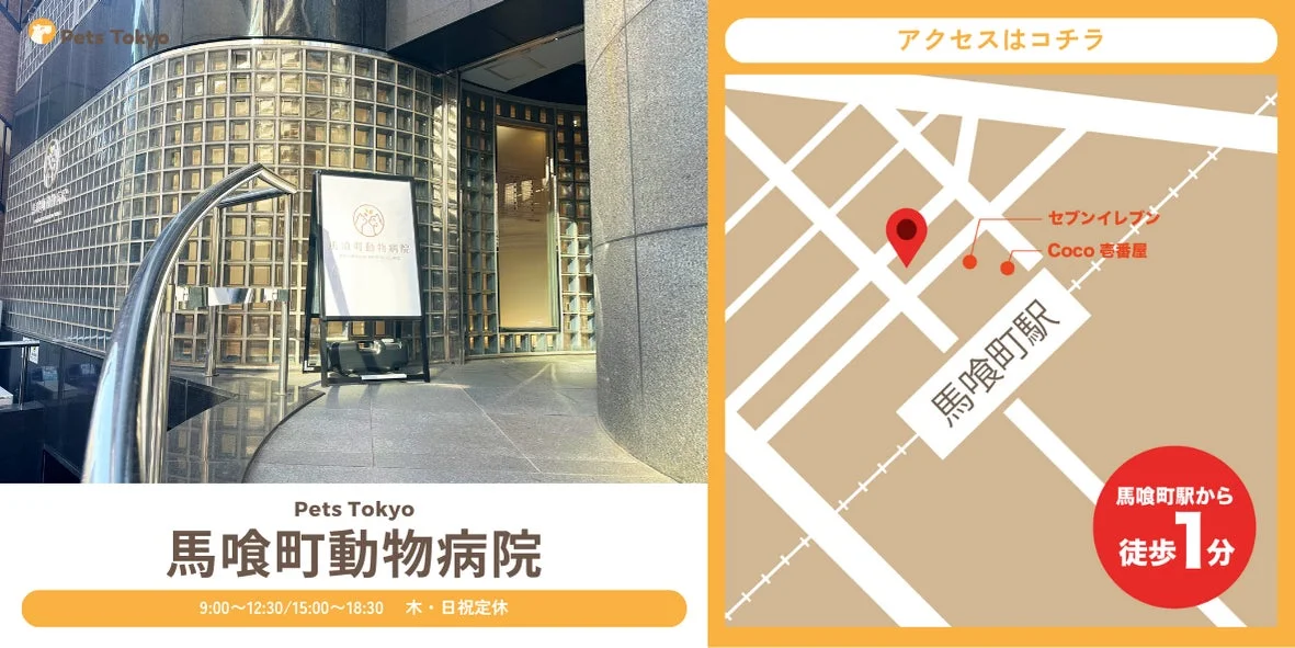 「Pets Tokyo 馬喰町動物病院」の建物外観と、馬喰町駅から徒歩1分のアクセス情報を示す地図です。営業時間と定休日も記載されています。