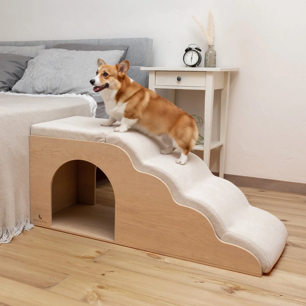 4段タイプを上るコーギー