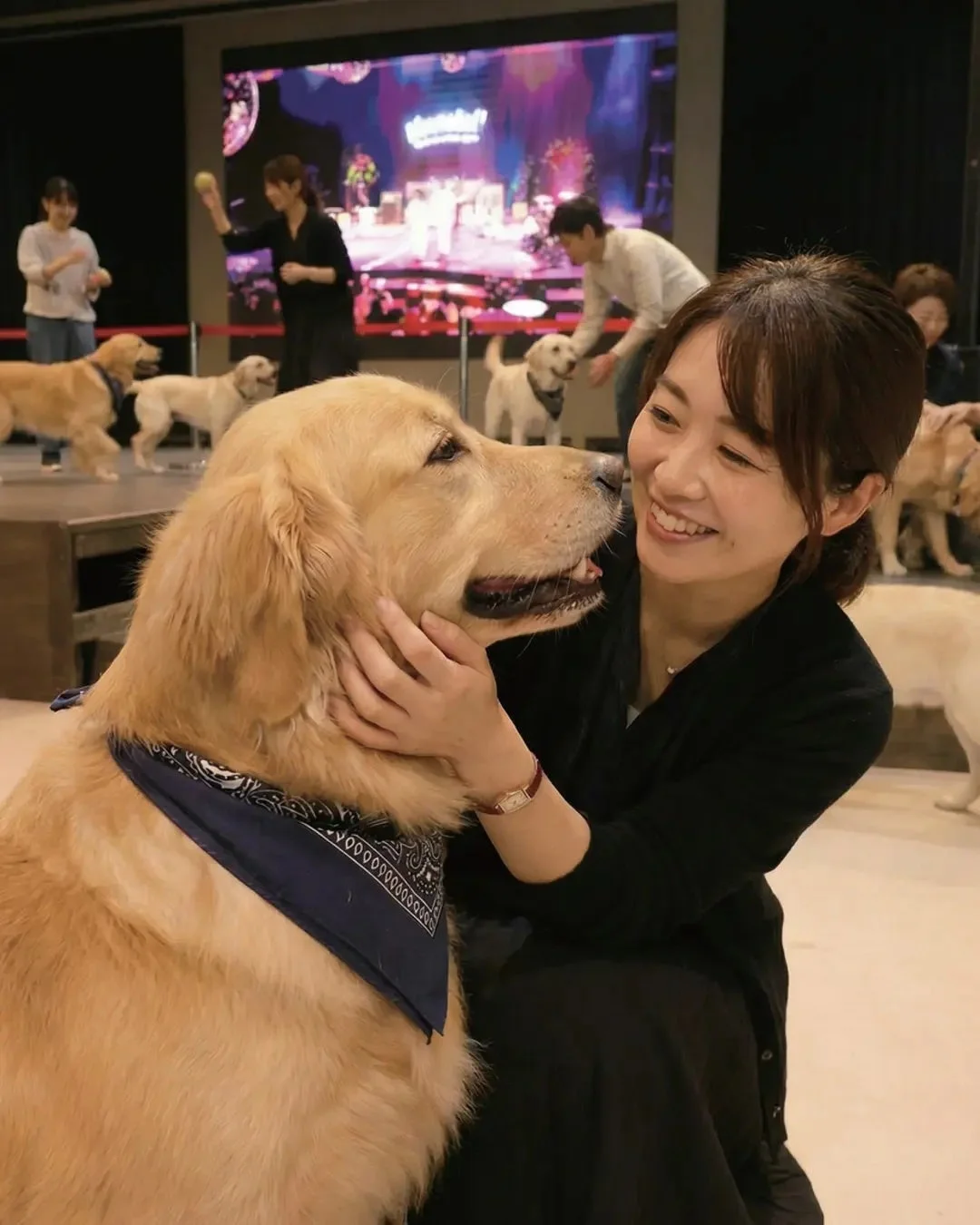 ゴールデンレトリバーと触れ合う女性