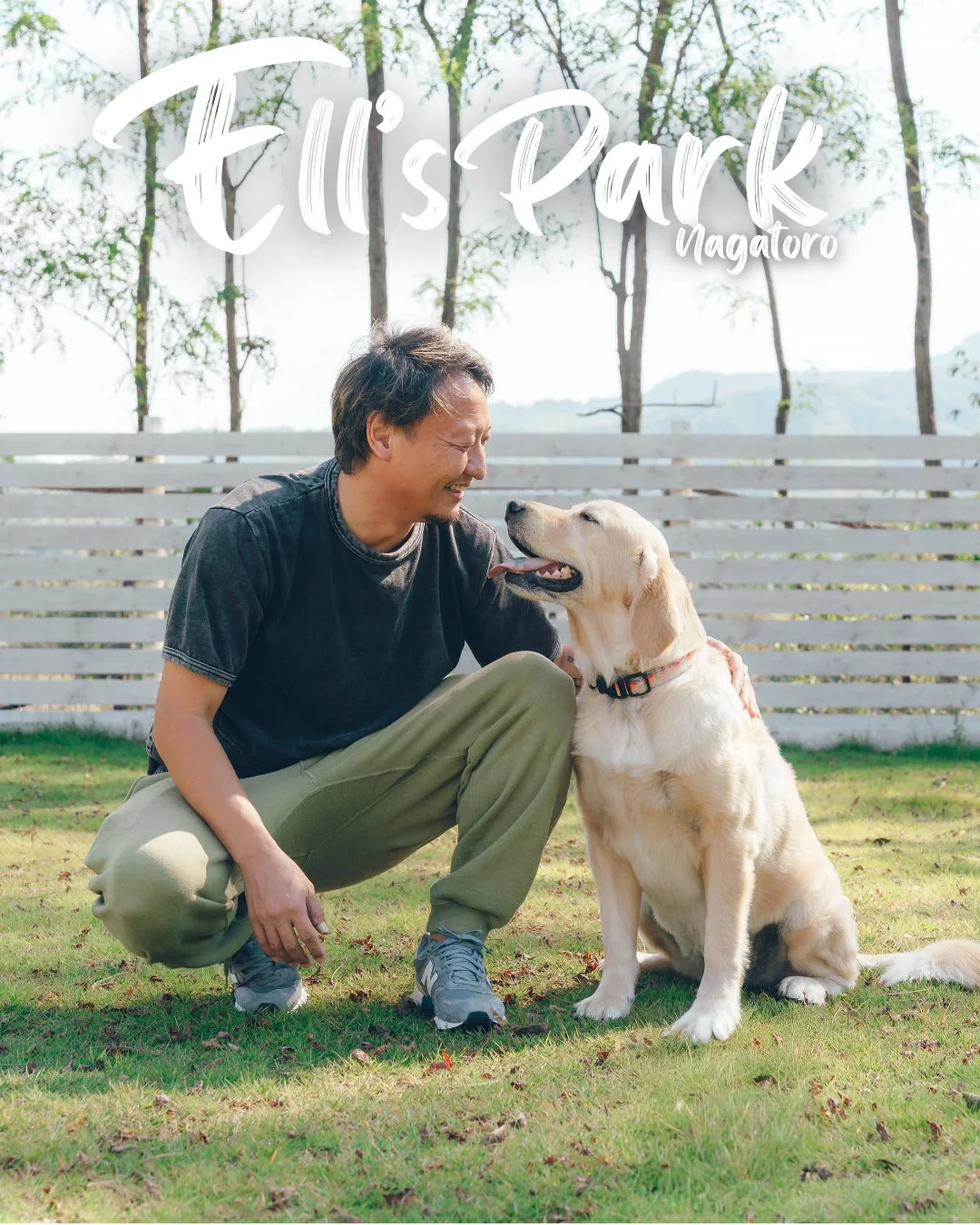 公園の芝生の上で、男性がゴールデンレトリバーと楽しそうに触れ合っている様子