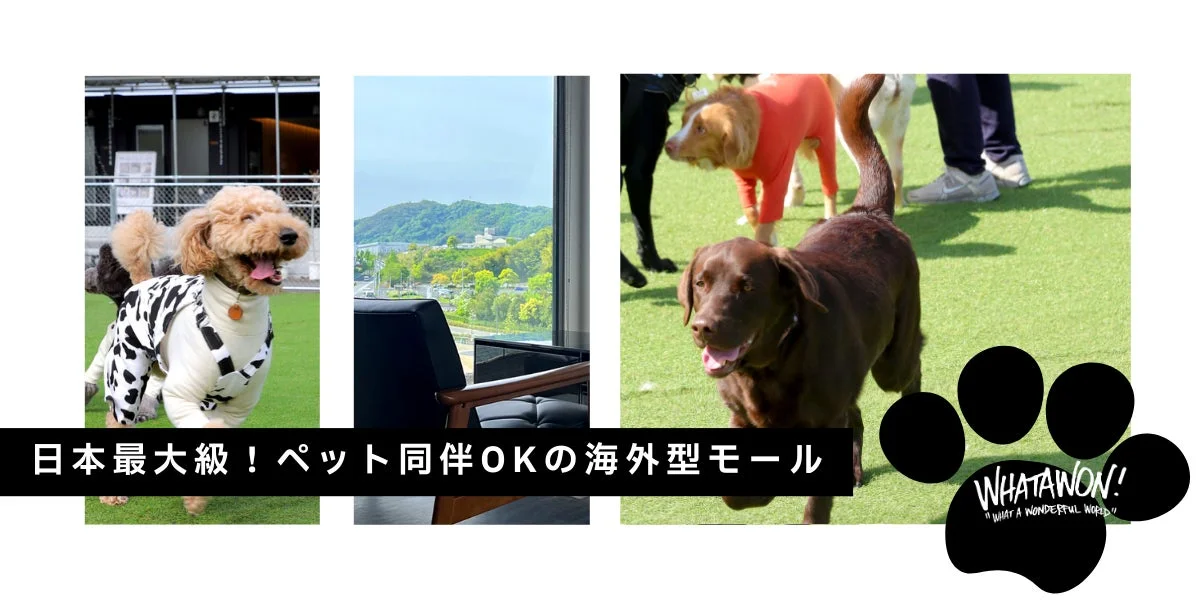 WHATAWONの外観と犬たち