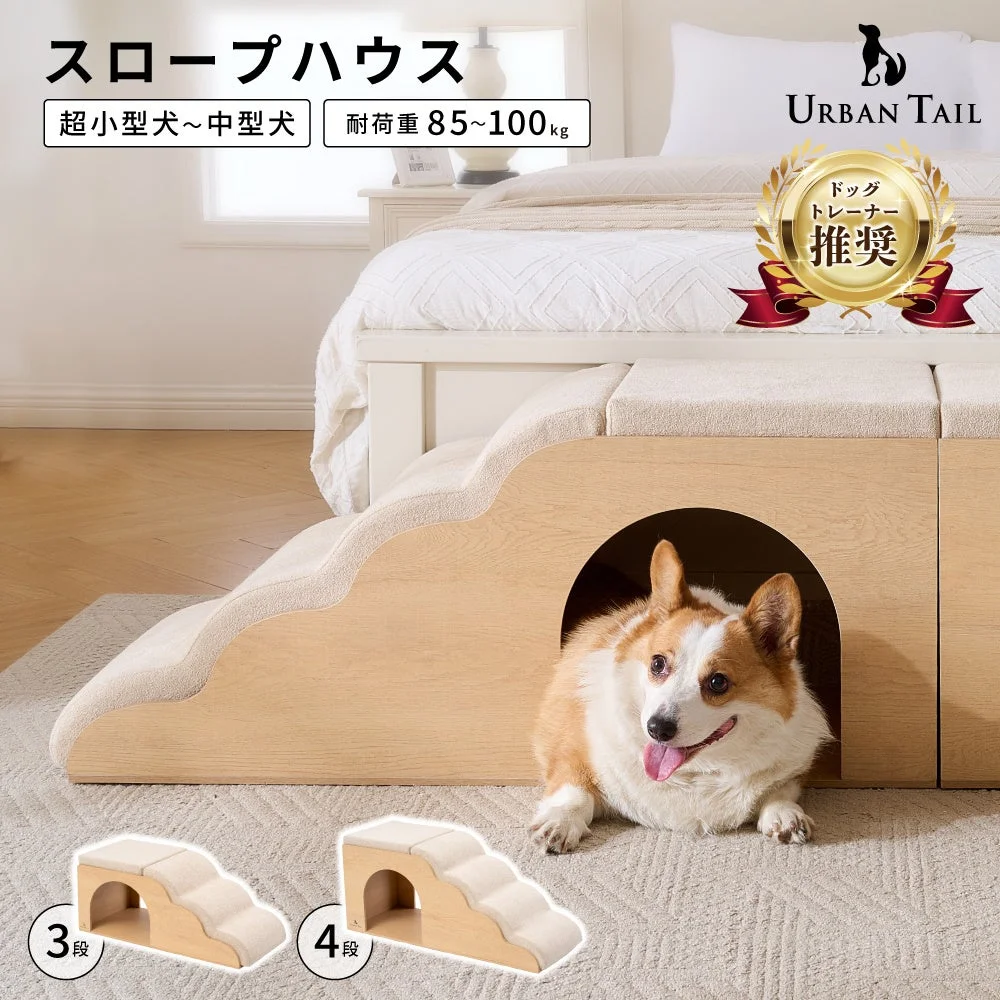 スロープハウスでくつろぐコーギー