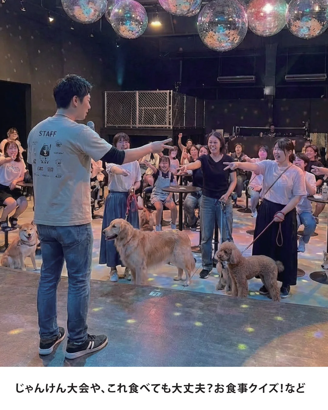 イベントで盛り上がる参加者と犬たち