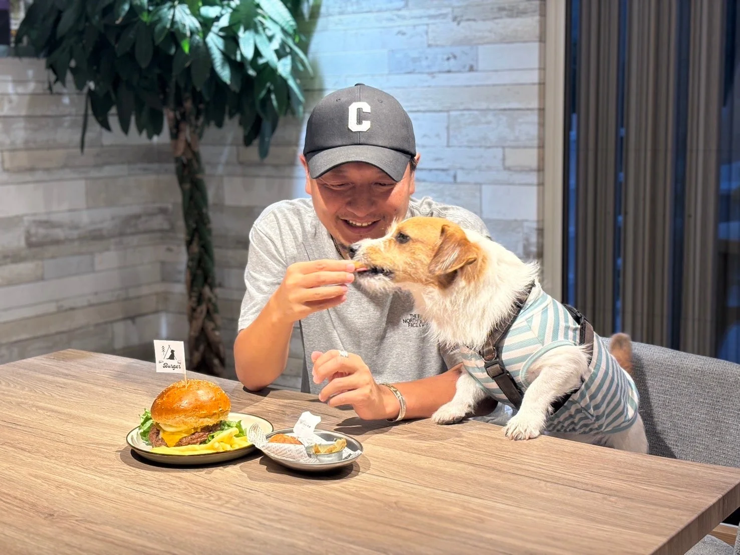 ペット同伴可能なカフェで、男性が愛犬にハンバーガーを分け与えている微笑ましい瞬間