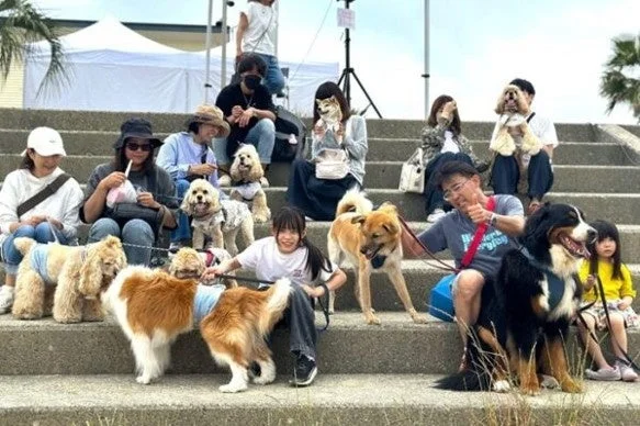 屋外に犬と人々が集まっている様子