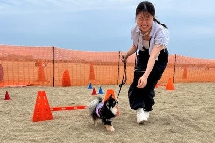 女性と小型犬がドッグランで楽しむ様子