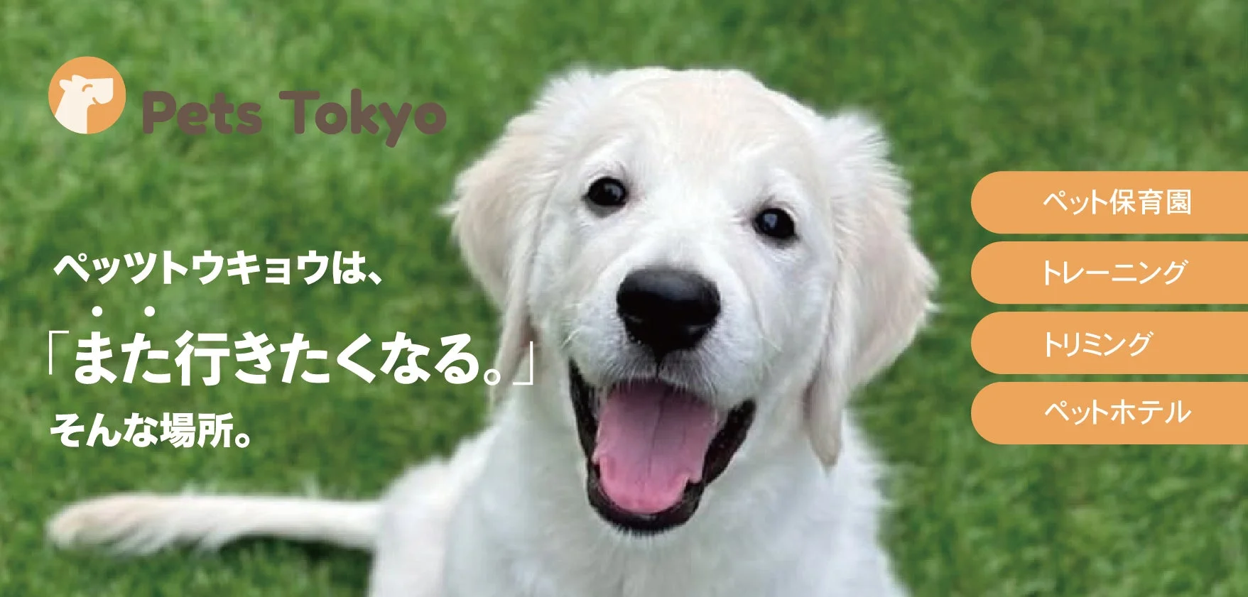 「Pets Tokyo」のサービスを宣伝する画像で、緑の芝生を背景に、愛らしいゴールデンレトリバーの子犬が笑顔でこちらを見つめています。ペット保育園、トレーニング、トリミング、ペットホテルといったサービスが提供されており、「また行きたくなる」場所であることがアピールされています。
