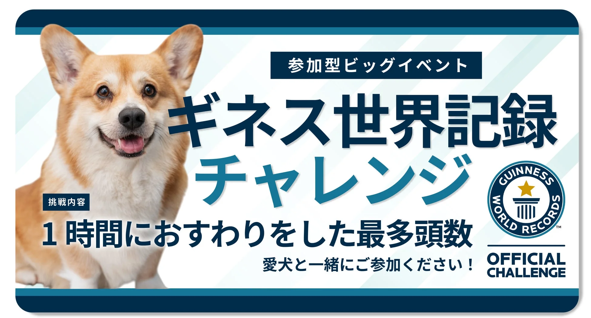 ギネス世界記録チャレンジ
