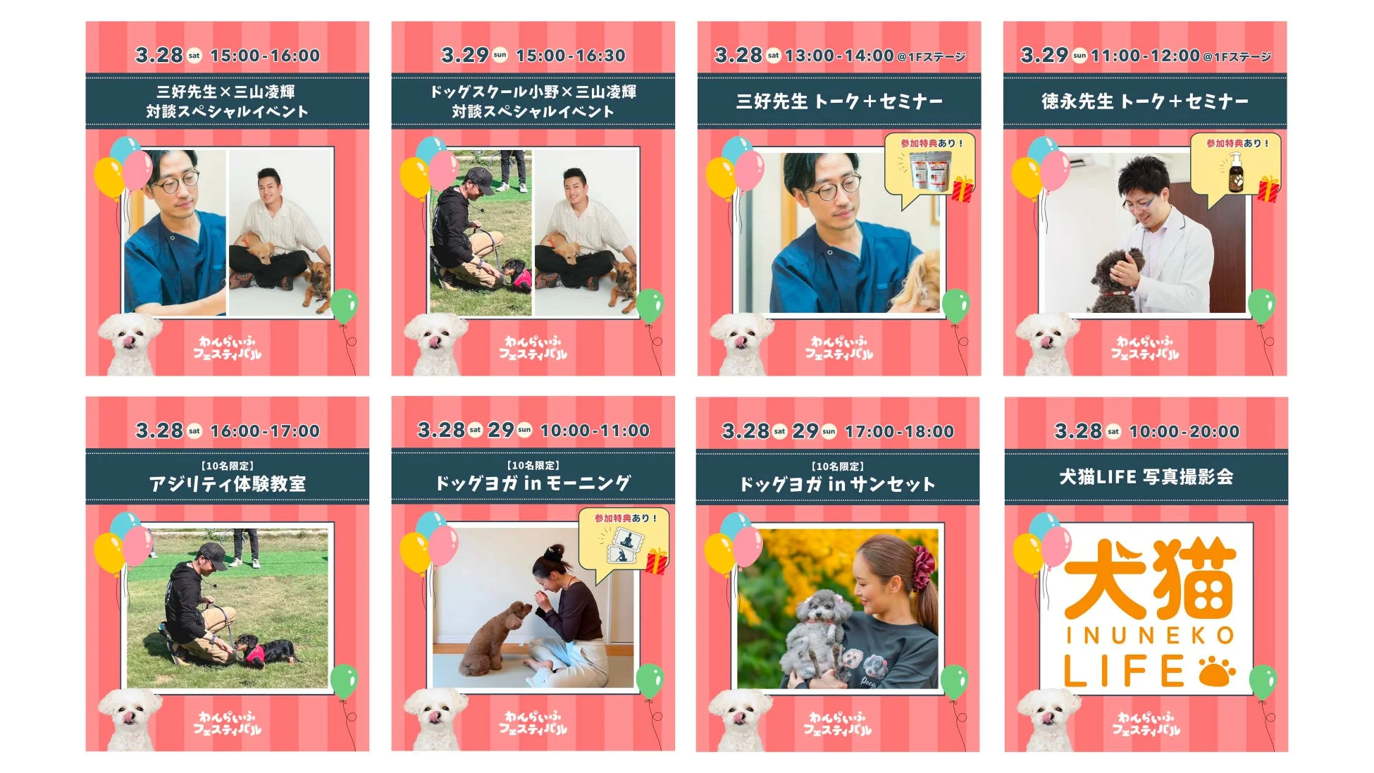 わんらいふフェスティバル コンテンツ詳細