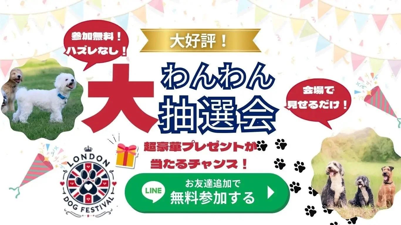 わんわん抽選会の告知画像