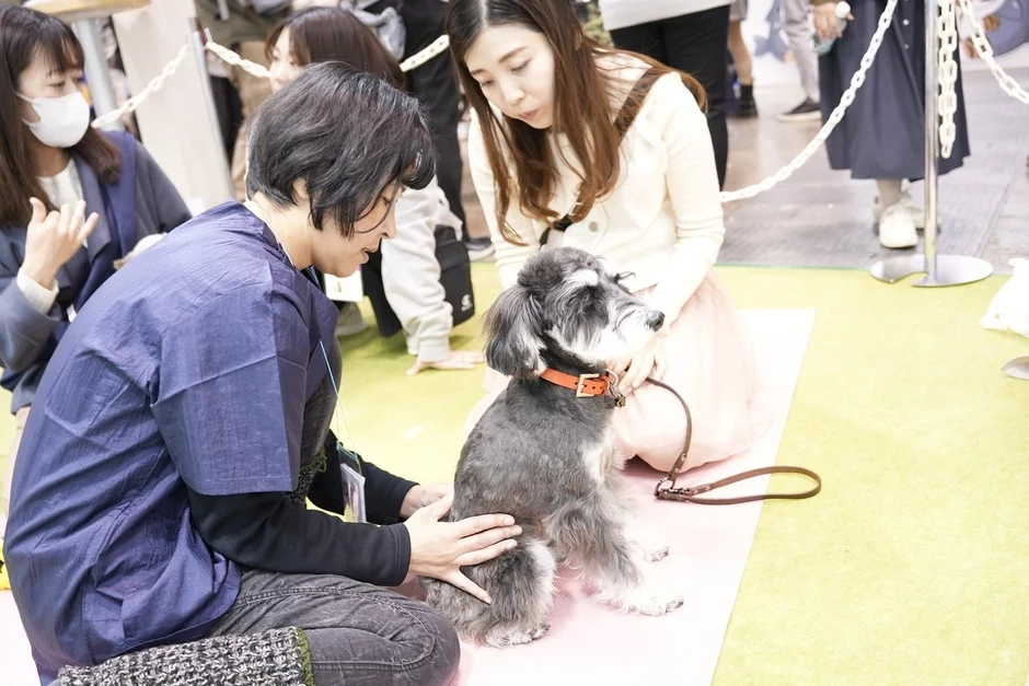 ミニチュアシュナウザーと触れ合う女性