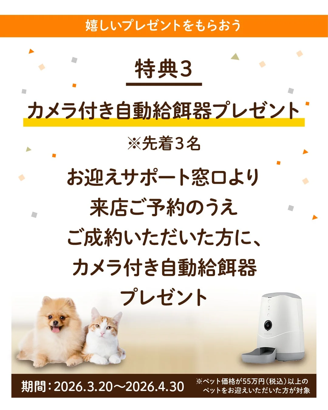 カメラ付き自動給餌器プレゼント