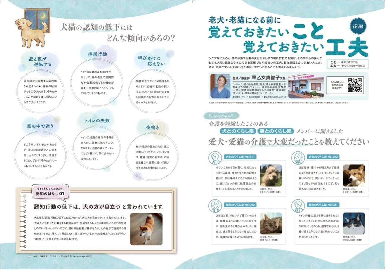 老犬・老猫になる前に覚えておきたいこと