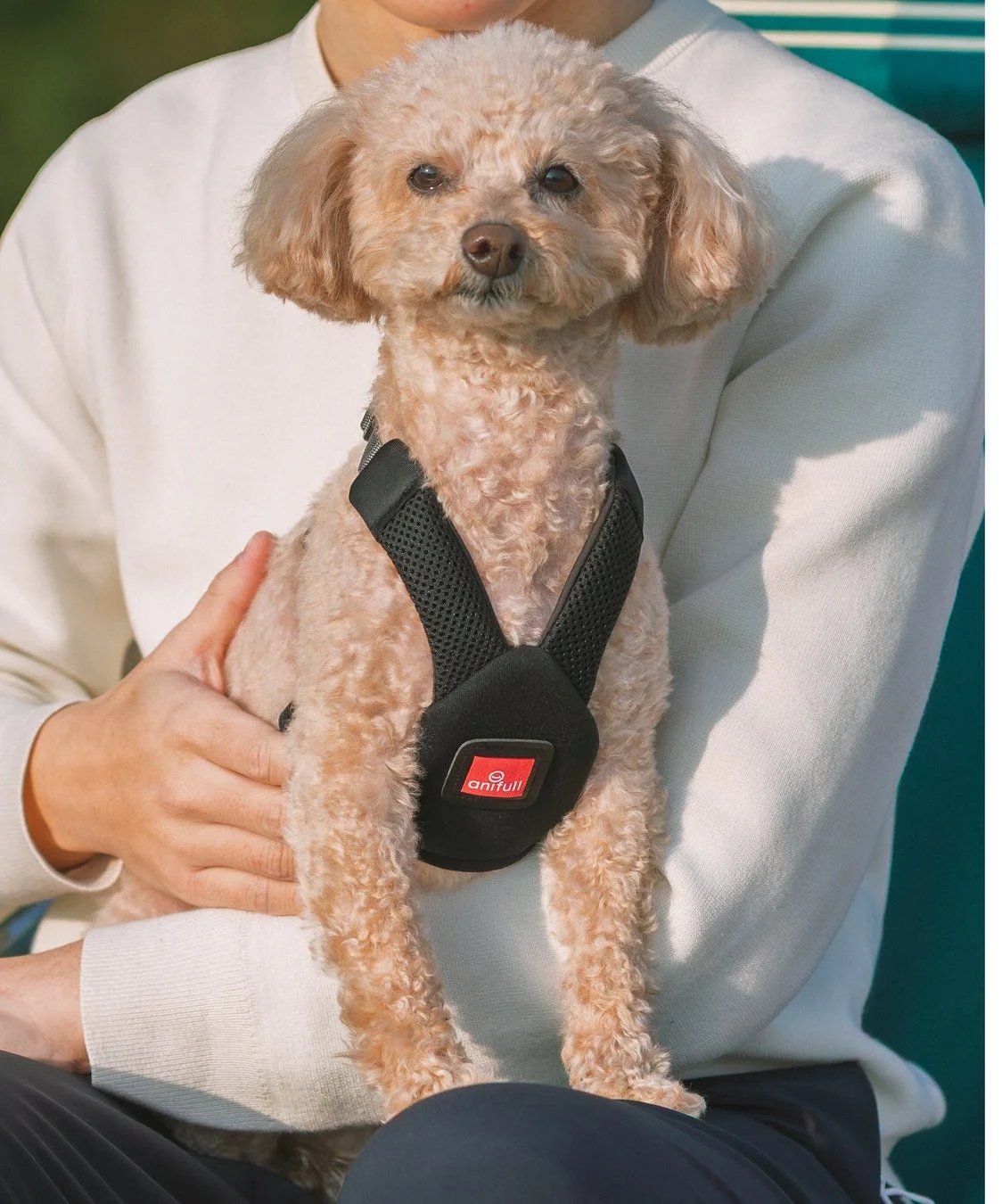 ハーレストActive