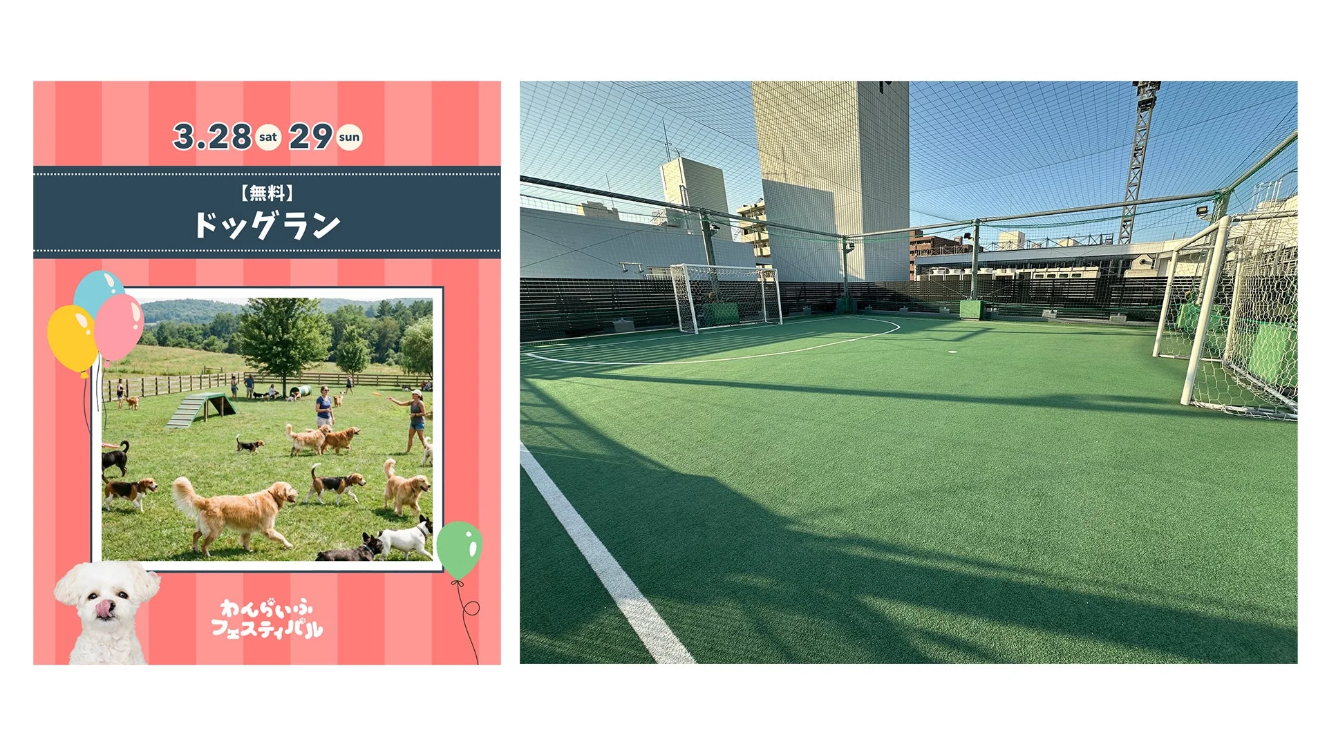 屋上ドッグラン