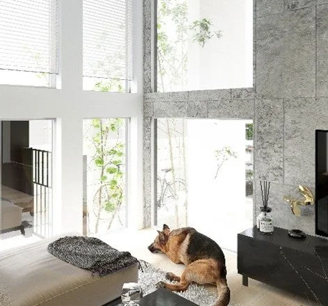 広々としたリビングでくつろぐジャーマンシェパード