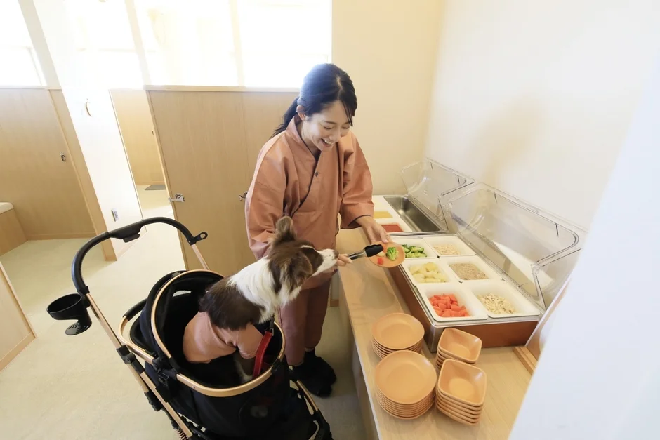 ビュッフェで食事をする女性と犬