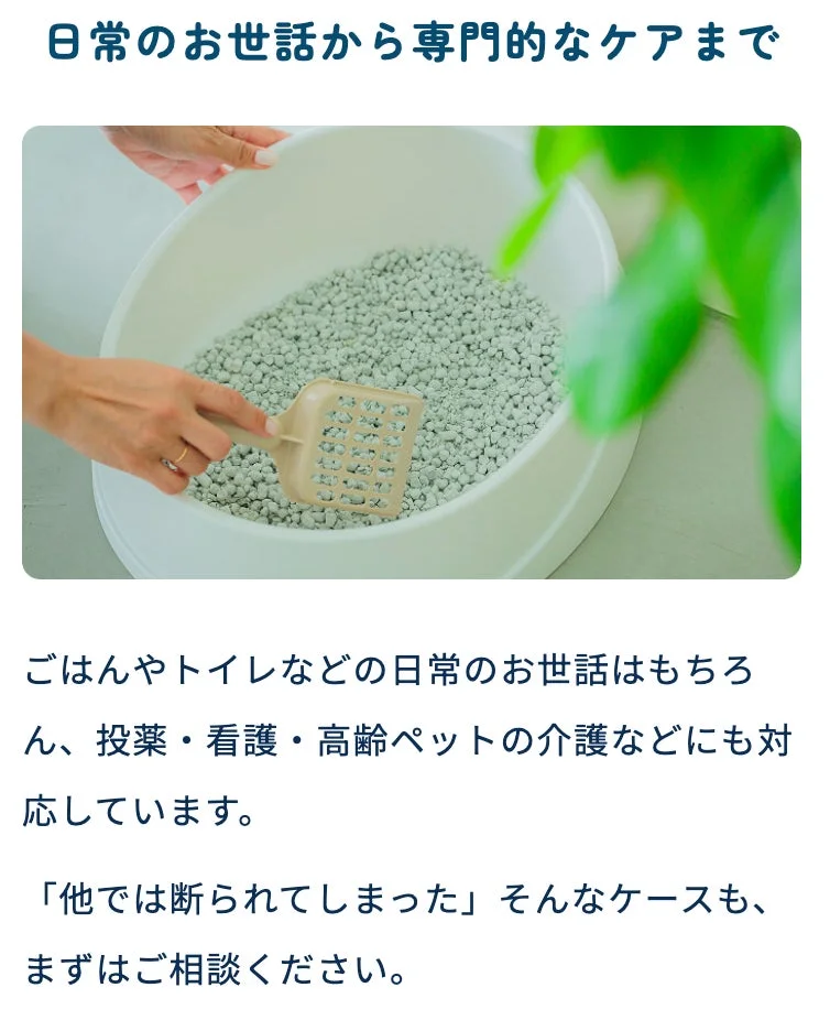 日常のお世話から専門的なケアまで