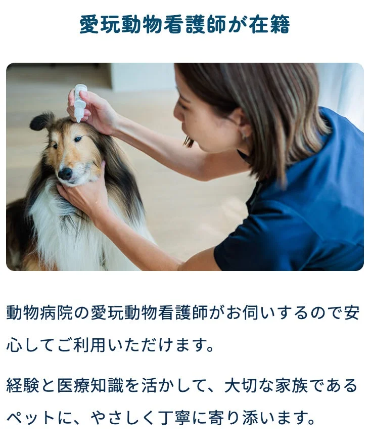 愛玩動物看護師が在籍