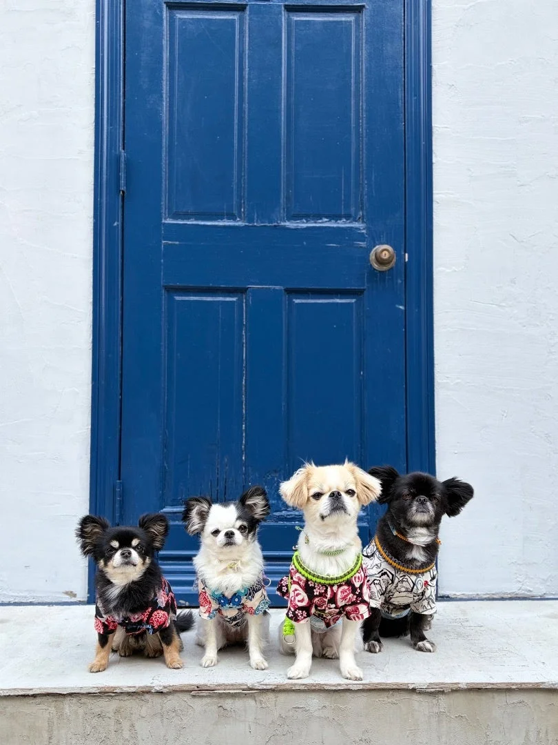 特設フォトブース