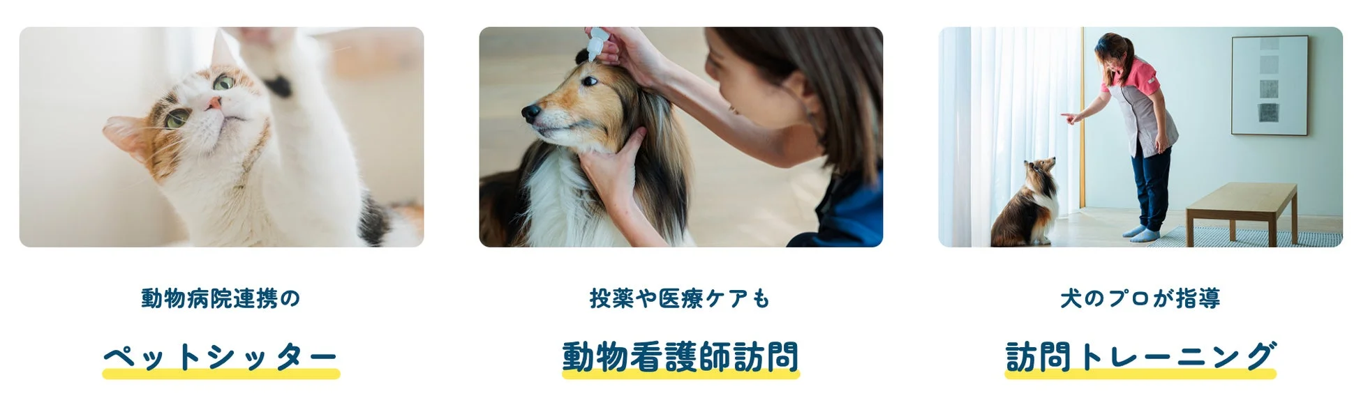 動物病院連携の ペットシッター