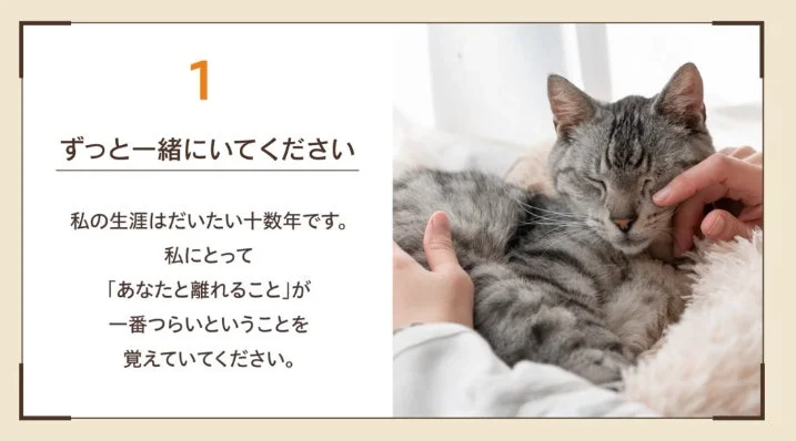 猫と女性の触れ合いの画像